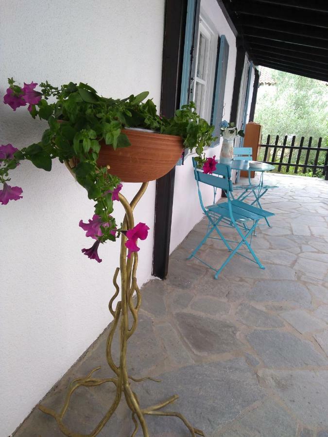 Nea Kallikrateia Sea & Sun House 빌라 외부 사진